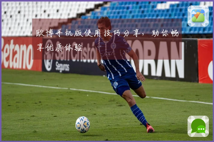 欧博手机版使用技巧分享，助你畅享优质体验