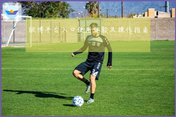 欧博平台入口使用体验及操作指南