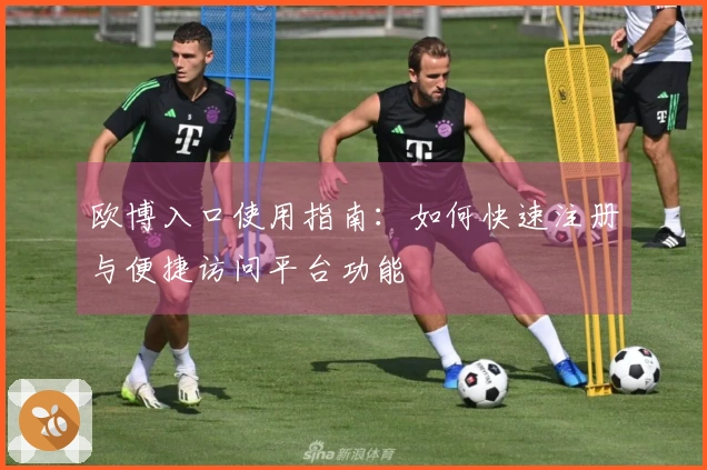 欧博入口使用指南：如何快速注册与便捷访问平台功能